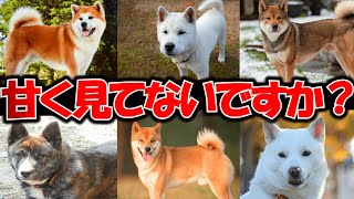 【ゆっくり解説】実はこの犬たち○○です！日本犬6種類誰よりも徹底解説！【日本犬】 [upl. by Atile]