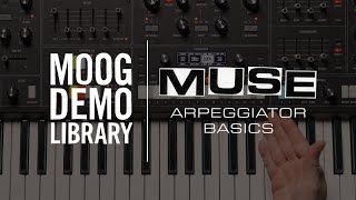 Muse  Arpeggiator Performance Basics [upl. by Dierdre]