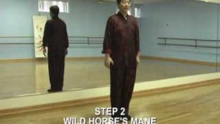 Tai Chi Chuan 24 Steps Beginners Lesson 1 [upl. by Lerud]