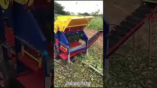 Peanut Threshing Machine [upl. by Dustie]