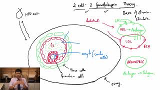 Fertility Masterclass 3 2 Cell 2 Gonadotropin Theory  Ovarian Stimulation Protocols  Dr Jay Mehta [upl. by Singleton]