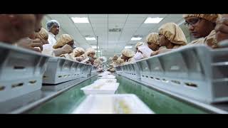 Gland Pharma Full Film [upl. by Werra]