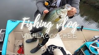 CRAPPIE FISHING CENTRAL FLORIDA WITHLACOOCHEE RIVER INSANE SLABS [upl. by Ecire512]