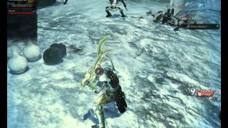 Vindictus General GamePlay LadyShe [upl. by Carolan]