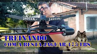 TREINANDO COM BESTA JAGUAR 175 LBS  PRECISÃO E FORÇA NA BALESTRA [upl. by Hacissej]