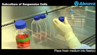 Subculture of Suspension Cells [upl. by Ludba]