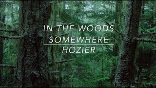 Hozier  In The Woods Somewhere Lyrics [upl. by Irved950]