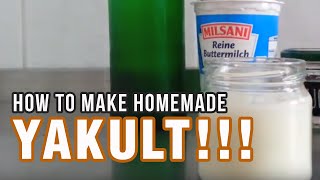 How To Make Your Own Yakult Homemade Yakult Easy Steps [upl. by Decker]