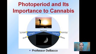 Photoperiod and Its Importance to Cannabis [upl. by Nairadal60]