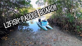 First Time Paddle Board Fishing Catching Multiple Species in Naples FL [upl. by Janis]