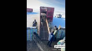 Selling sheep at the farm gaiban0910 [upl. by Odanref]