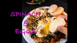 SPINACH with Eggs Ispanakli Yumurta  HEALTHY amp EASY  For breakfast or lunch  TURKISH [upl. by Alexina]