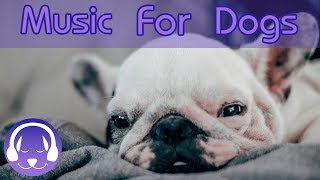 Pet Therapy Music to Help Dogs with Anxiety DeStress and Calm Your Dog with this Natural Remedy [upl. by Rolan]