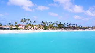 Welcome to the Divi amp Tamarijn Aruba All Inclusives [upl. by Benedikta]