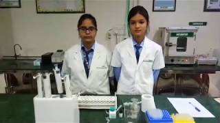 Albumin test by BCG method performed by paramedical students [upl. by Anselme]