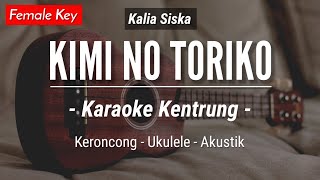 Kimi No Toriko  Summertime KARAOKE KENTRUNG  Cinnamon X Evening Cinema Keroncong  Ukulele [upl. by Ng]