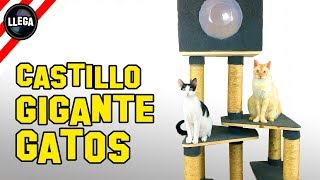 CÓMO HACER UN CASTILLO o GIMNASIO PARA GATOS GIGANTE [upl. by Ahseined]