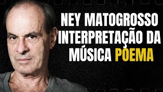 Ney Matogrosso Interpretação da Música Poema [upl. by Eerej]