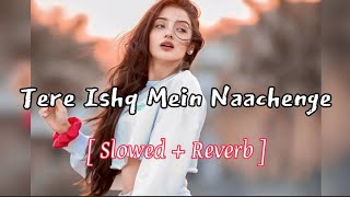 Tere Ishq Mein Naachenge  slowed  reverb   hindi song slowed reverb  lofi songs hindi lofi [upl. by Joye]