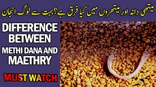 Difference Between Methi Dana and Maethry  Dar ul Hikmat Urdu DUH [upl. by Cesare]