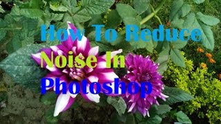 How To Reduce Noise In Photoshop 7 [upl. by Cyprus]