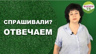 Спрашивали  отвечаем [upl. by Kaete]