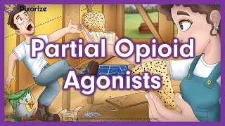 Partial Opioid Agonists Mnemonic for USMLE [upl. by Veta126]