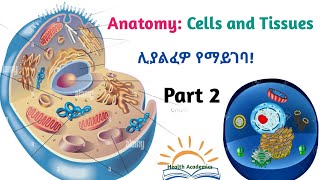 Physiology Introduction to Physiology Interesting Video Lecture in Amharic Speech Part 2 [upl. by Syla]