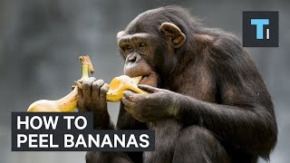 How to peel bananas [upl. by Rutherfurd]