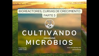 CULTIVANDO MICROBIOS PARTE 5 Curvas de crecimiento y bioreactores [upl. by Ancelin]