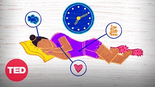 How daylight saving time affects our bodies minds  and world  Sleeping with Science [upl. by Eessac]