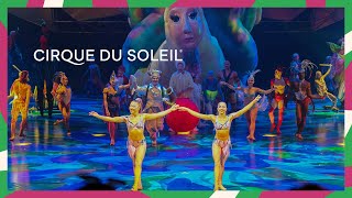 Cirque News  Episode 12  Happy 13000 Shows Mystère  Cirque du Soleil [upl. by Loseff722]