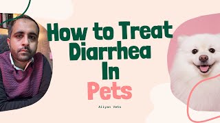 Step by step guide to treat Diarrhea in dogs amp cats  Dr Furqan Arif  Aliyan Vets [upl. by Solim285]