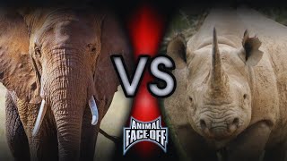 Animal FaceOff Elephant vs Rhinoceros Full Battle [upl. by Ajnos]