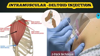 intramuscular deltoid injection full details in hindiprocedure  material amp precautions [upl. by Tarrsus]