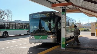 Mostly Straight Paths Transperth Bus Route No 67 TP2315 Mirrabooka to Perth Busport [upl. by Hobey190]