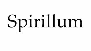 How to Pronounce Spirillum [upl. by Michey782]