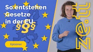 So entstehen Gesetze in der Europäischen Union [upl. by Ardnuassak488]