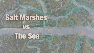 Salt Marshes vs The Sea [upl. by Ronyam]