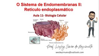 Biologia Celular Ensino Superior Aula 11 Retículo Endoplasmático [upl. by Eidnarb]