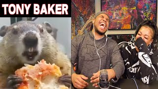 TONY BAKER ANIMAL VOICE OVERS ARE HILARIOUS [upl. by Rockafellow383]