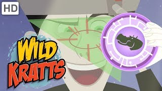 Wild Kratts  Top Season 2 Moments 80 Minutes  Kids Videos [upl. by Randolf66]