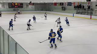 Eagles Hockey · RLF vs Wadena · Feb 4 2025 [upl. by Alleroif]