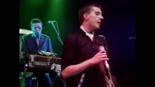 The Specials  Rat Race Live in 1979 [upl. by Enohs216]