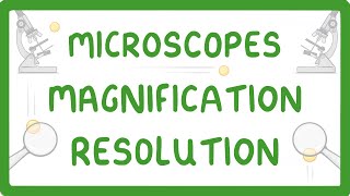 GCSE Biology  What is Microscopy 5 [upl. by Nedda]