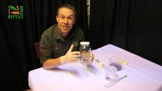 How to catch a Funnel Web spider [upl. by Regor]