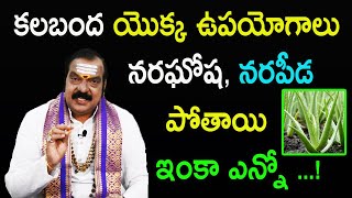 కలబంద యొక్క ఉపయోగాలు  Amazing Benefits Of Aloe Vera  Kalabanda Uses  Dr Machiraju Venugopal [upl. by Ylevol]