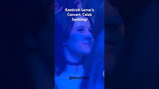 Kendrick Lamars Concert Celeb Spotting kendricklamar westcoast eastcoast rapper rap hiphop [upl. by Matronna]