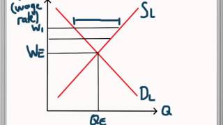 Labour Market Equilibrium  Excess Supply and Demand for Labour [upl. by Eerehs25]