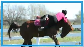 Paarden bloopers  Horse fails [upl. by Ronald960]